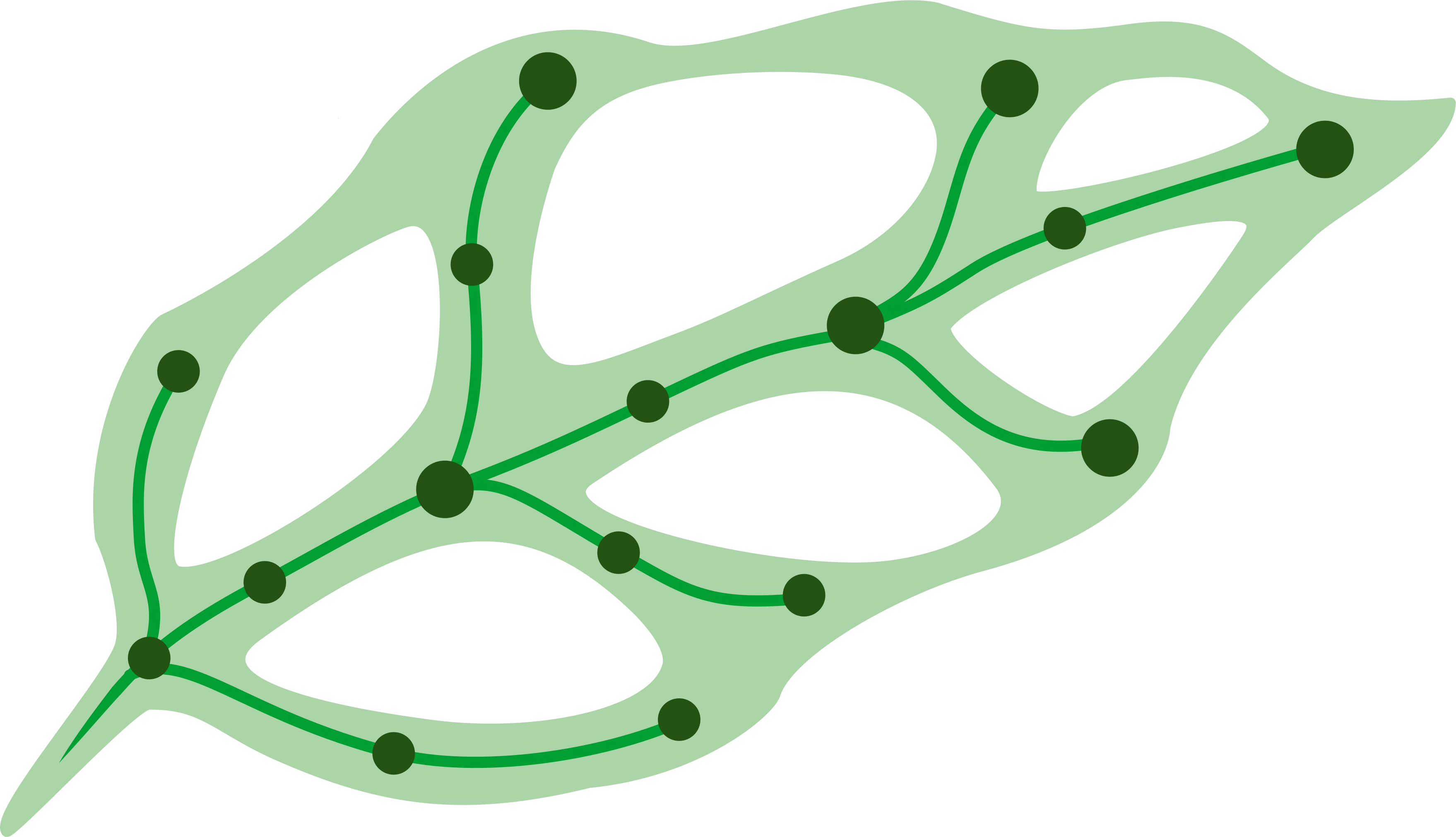 Obliqua Data logo